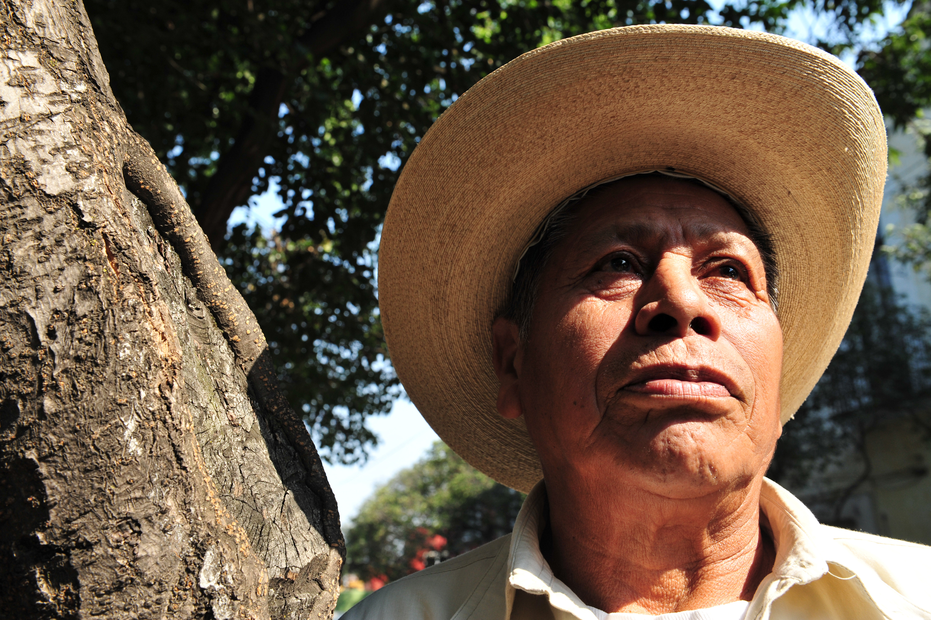 agricultural worker