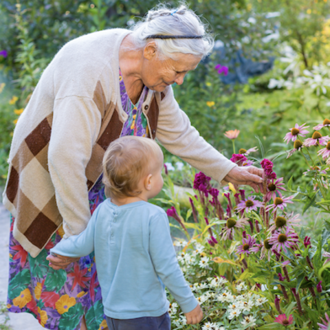 Grandmother gardening with grandchild
